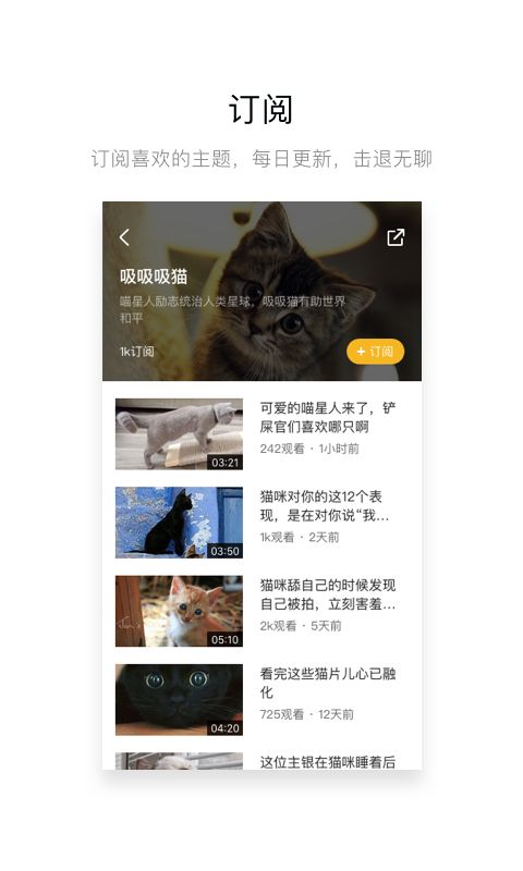 网易菠萝视频官方app软件下载 v1.6.3