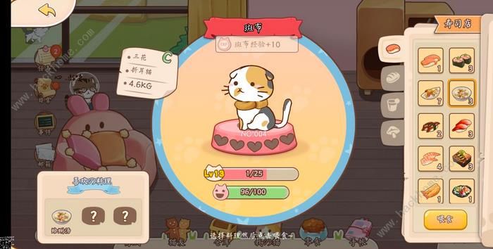 猫猫狗狗一起玩猫咪食物大全 猫猫喜欢食物总汇图片3