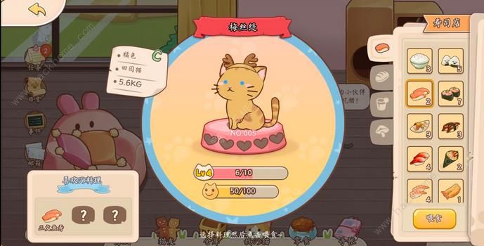 猫猫狗狗一起玩猫咪食物大全 猫猫喜欢食物总汇图片4
