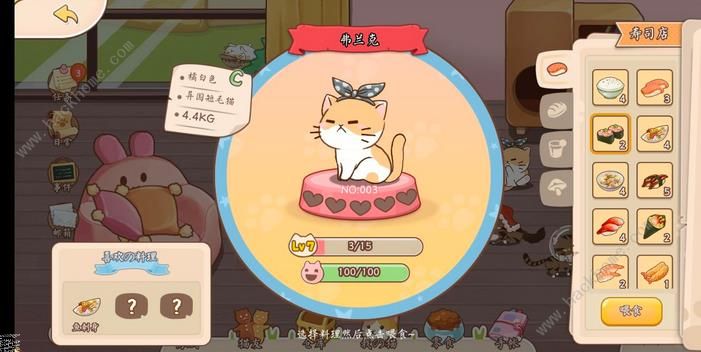 猫猫狗狗一起玩猫咪食物大全 猫猫喜欢食物总汇图片2