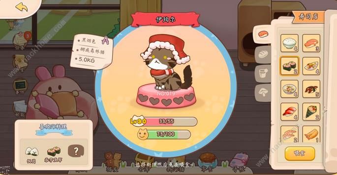 猫猫狗狗一起玩猫咪食物大全 猫猫喜欢食物总汇图片6