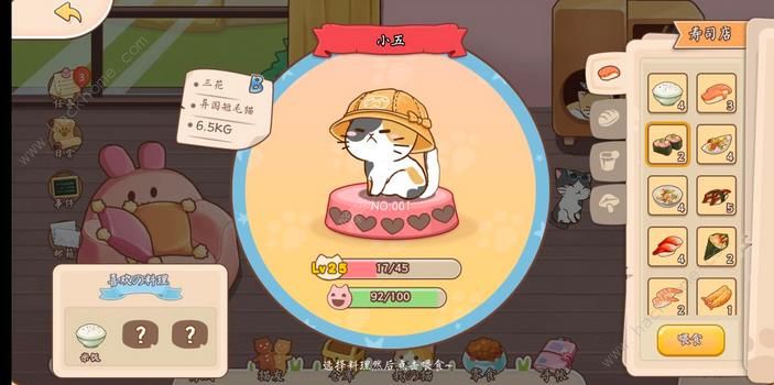 猫猫狗狗一起玩猫咪食物大全 猫猫喜欢食物总汇图片1