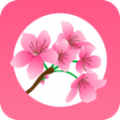 可话app内测官方官方版下载 v1.10.4