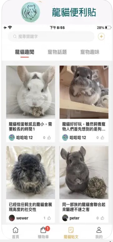 龙猫便利贴app安卓版下载图片1