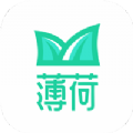 薄荷下载官方软件 v1.0.0