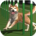 Top Dogs安卓版手游下载 v0.0.4