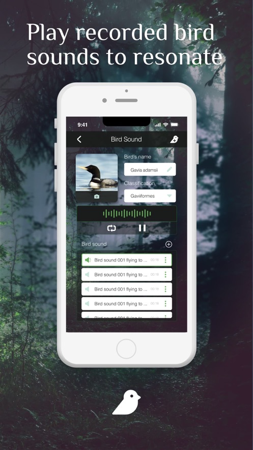 Bird Photography鸟类摄影app官方下载 v1.2