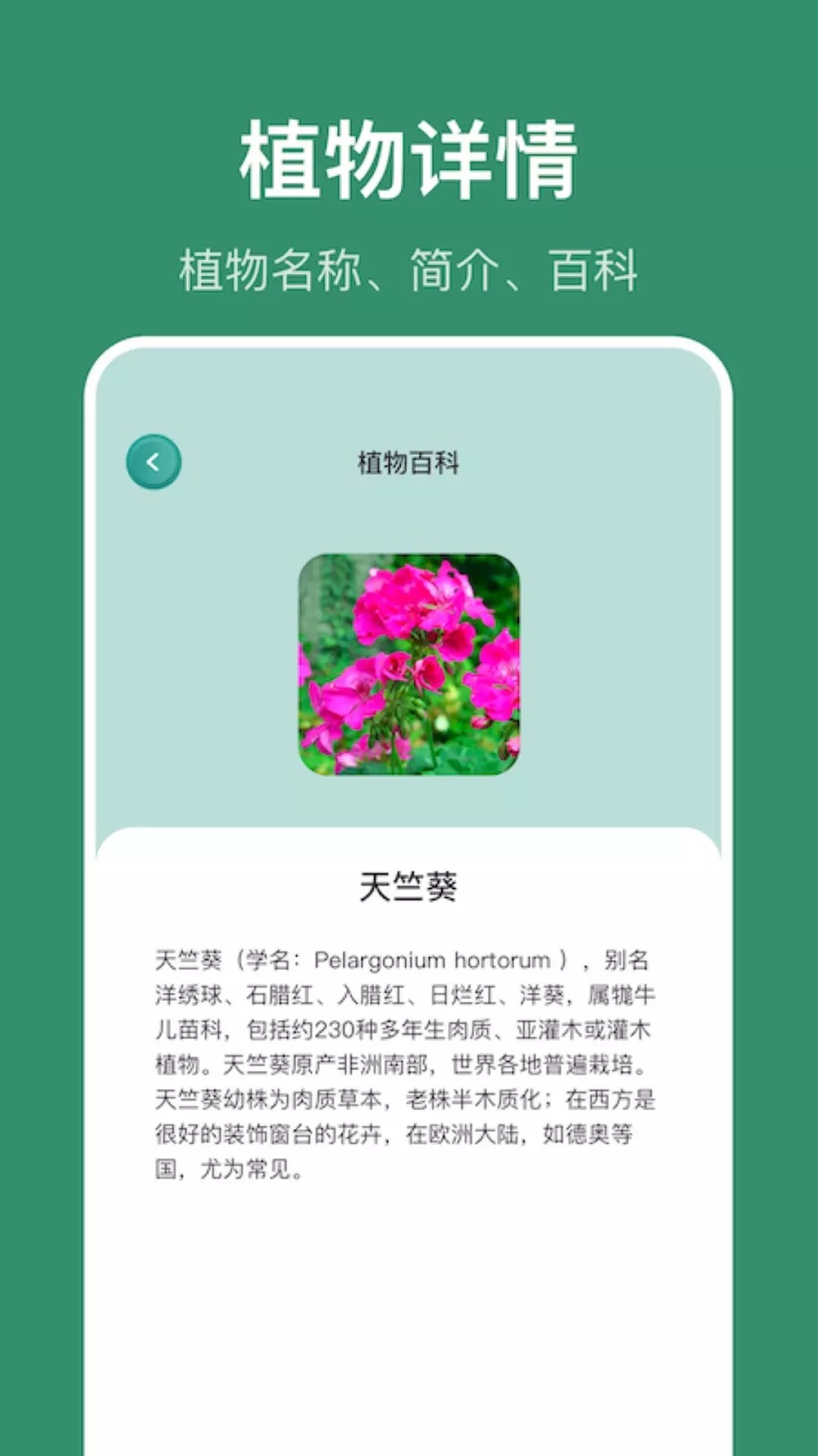 小黄养花识别植物app软件 v1.1