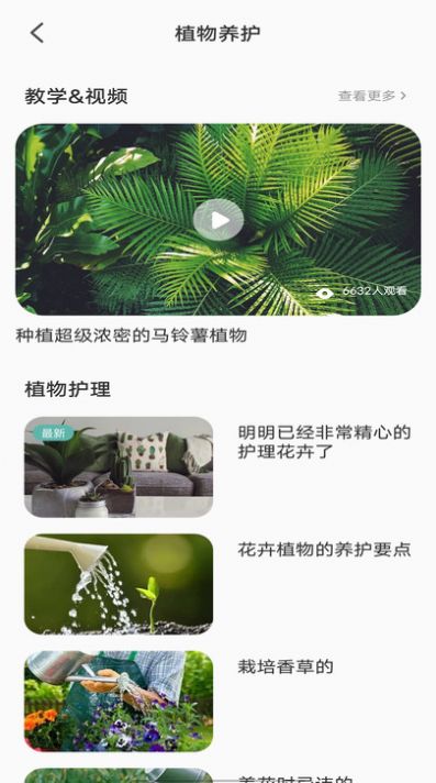 拍照识别植物弛意版官方手机版下载 v1.0.0