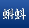 蝌蚪帮新闻资讯app手机版下载 v1.0.0