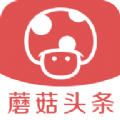 蘑菇头条app手机版软件下载 v3.1.0