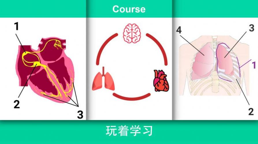 治病模拟器游戏安卓中文版 v47