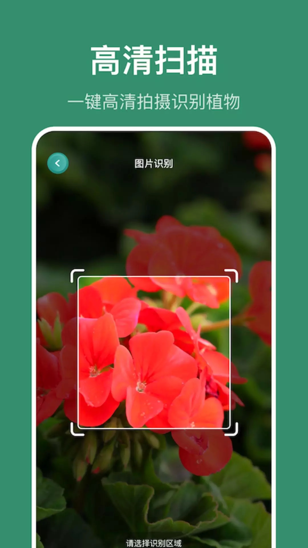 小黄养花识别植物app软件 v1.1