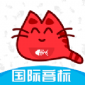 大猫英语国际音标app手机版下载 v1.0.0