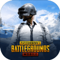 绝地求生pubg mobile(国际服)2.1最新版地铁逃生下载正版手游 v3.3.0