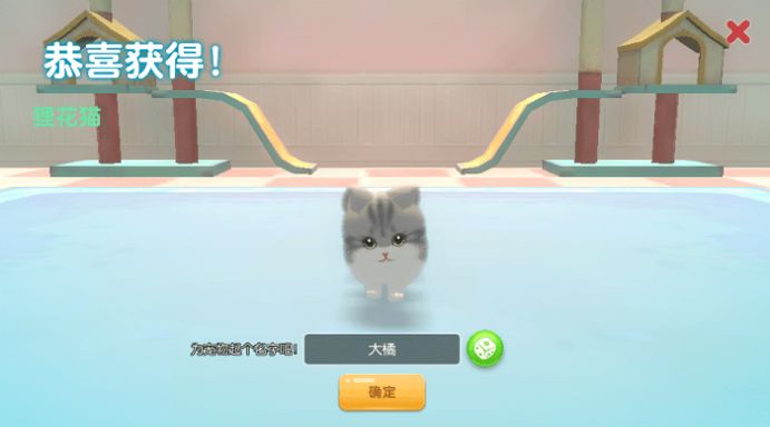 养了个猫(家庭派对新玩法)不用最新版 v1.4.2