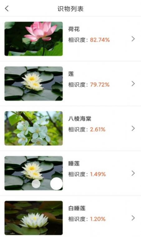 拍照识物全能王app软件官方下载 v1.2.1