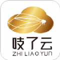 吱了云平台app官方版下载 v1.1.1