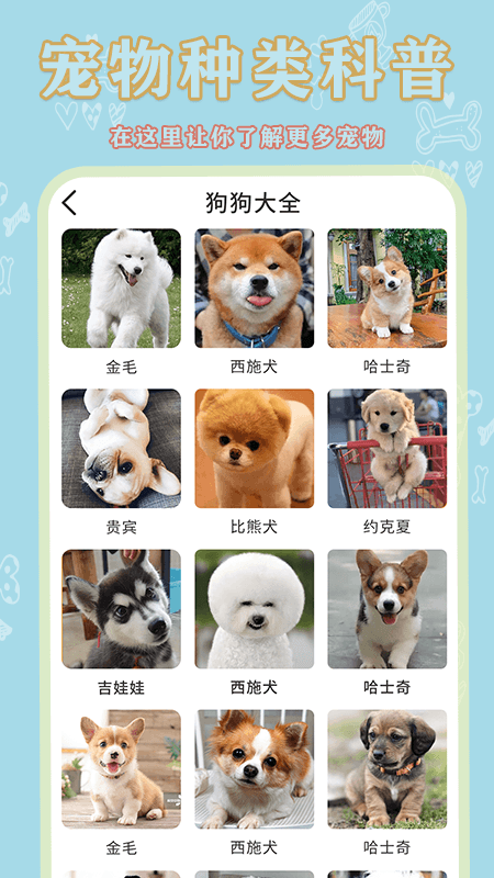 宠物大全app官方手机版下载 v1.0.0
