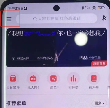 iphone13pro灵动半岛插件官方版 v1.0