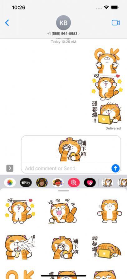 白烂猫19贴纸app免费下载 v1.0