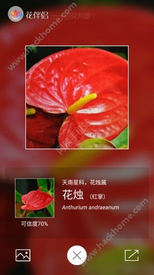 花伴侣官方app软件下载 v3.2.12