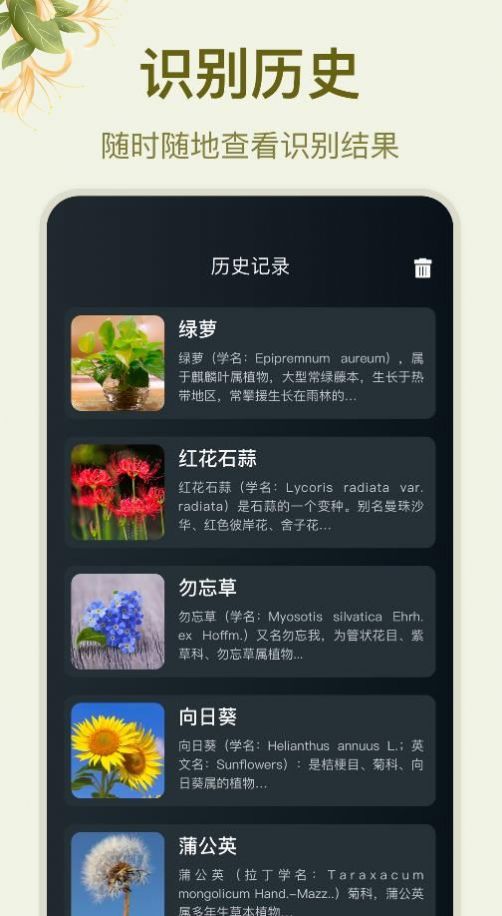 拍照识花大师app软件下载 v1.0