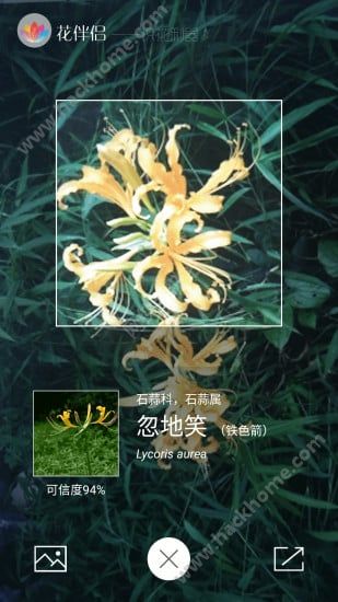 花伴侣识花软件app官方下载安装图片1