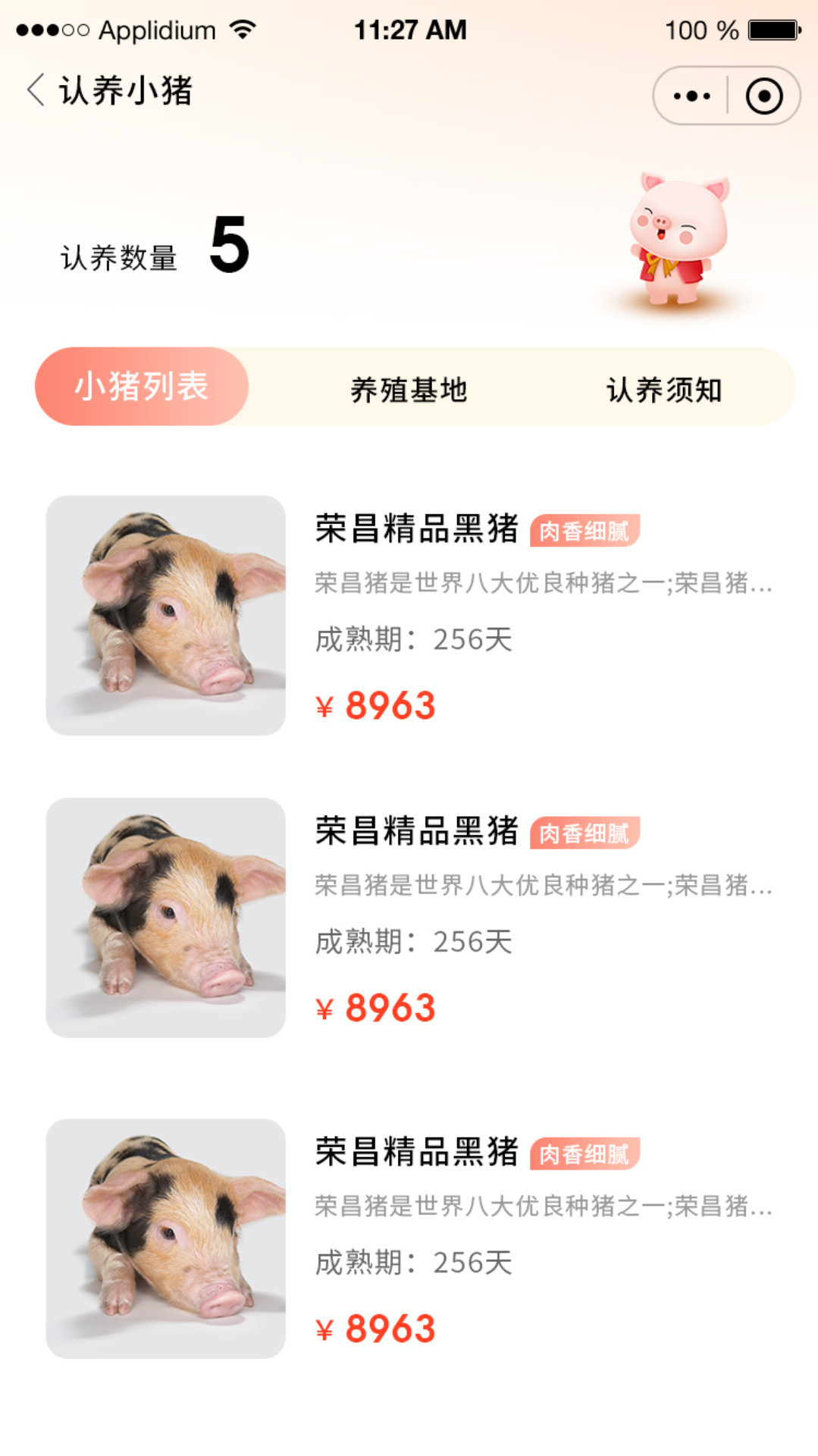 吉吉熊猫猪app下载 v1.0.0