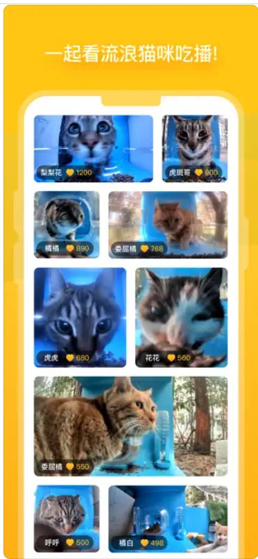 街猫官方下载最新版本 v1.8.0