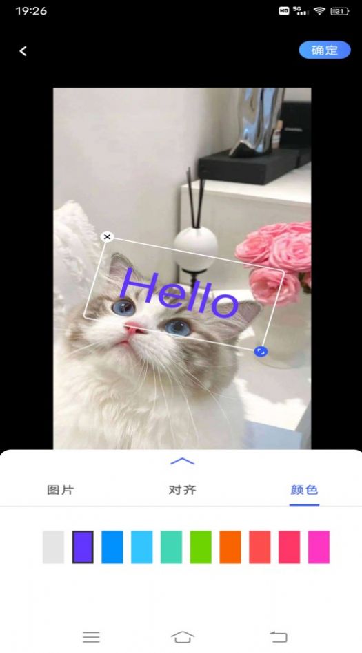 小猪翻译视频app官方下载 v1.0.1