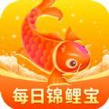 每日锦鲤宝做决定app手机版下载 v1.4.9