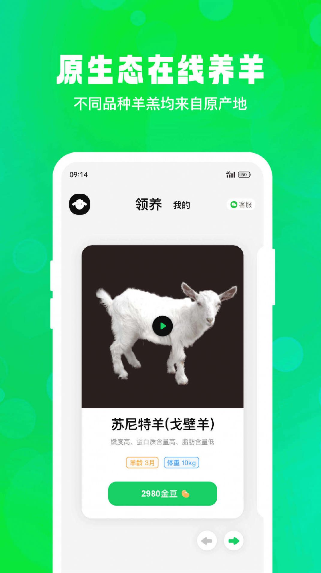 飞扣牧场线上养羊app手机版图片2