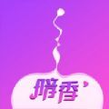 暗香app聊天一对一交友软件下载 v1.0