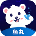 鱼丸电竞app官方下载 v1.0.0