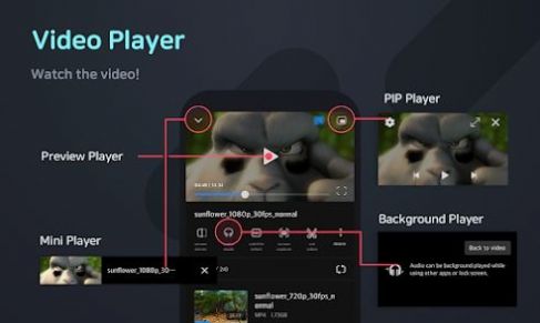 FX player播放器app下载 v3.6.4