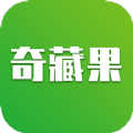 奇藏果艺术app绘画学习官方版 v1.5