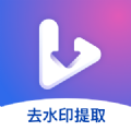 视频去水印提取软件免费版下载 v1.0.0