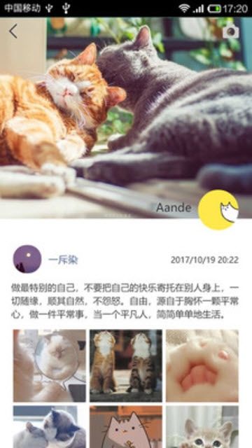 mchat软件叫服务官方下载app v2.3.1