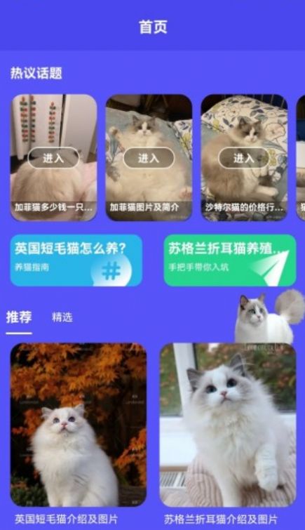 小奶猫呀宠物社区app官方下载 v1.1