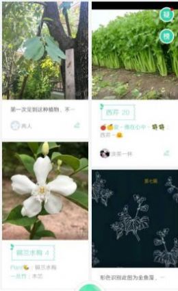 花草识别软件下载app最新版 v1.1.2