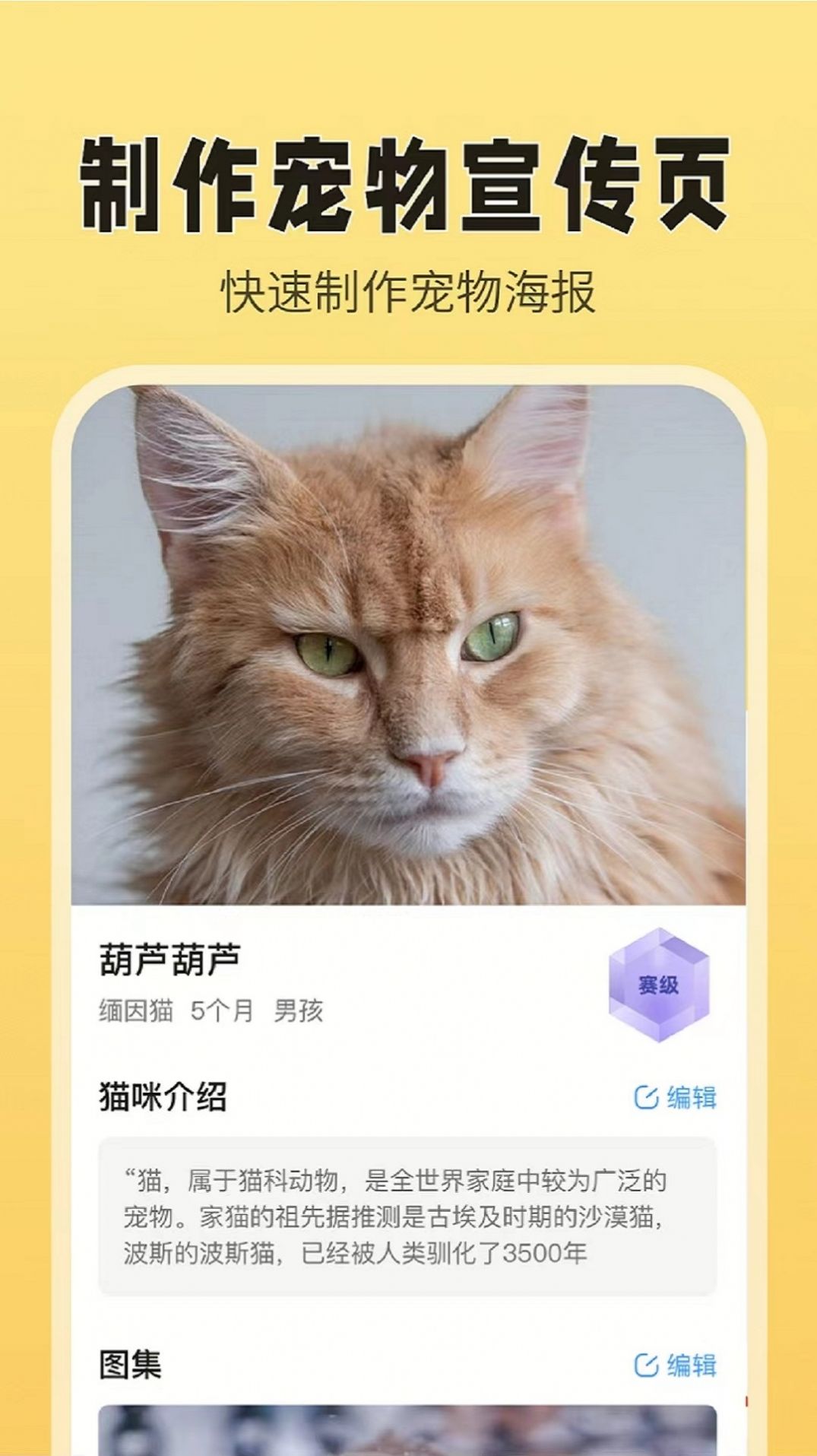 猫老板猫舍管理app官方版下载 v1.0.0