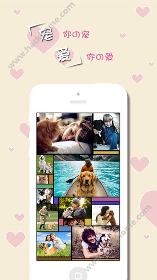 宠爱宠物社交app官方下载 v2.8.99