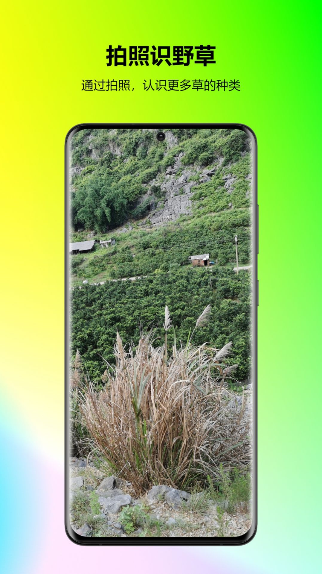 万能拍照识花app免费版下载 v23.6.30