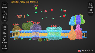 细胞生物学3d资源库系统app官方下载图片1