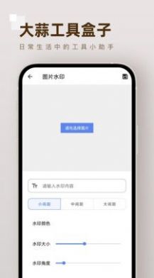 大蒜工具盒子app软件下载图片1