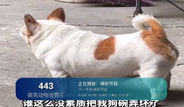 芸汐影视TV免费版app下载图片1