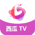 西瓜TV电视版免费app下载 v1.0.0