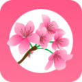 桃缘交友更新版本最新app下载安装 v1.5.645