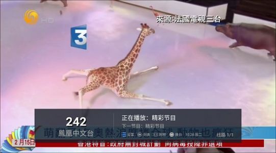 水星tv电视最新版本app下载图片2